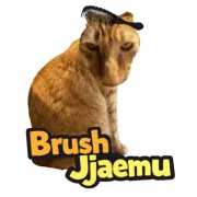 Brush Jjaemu